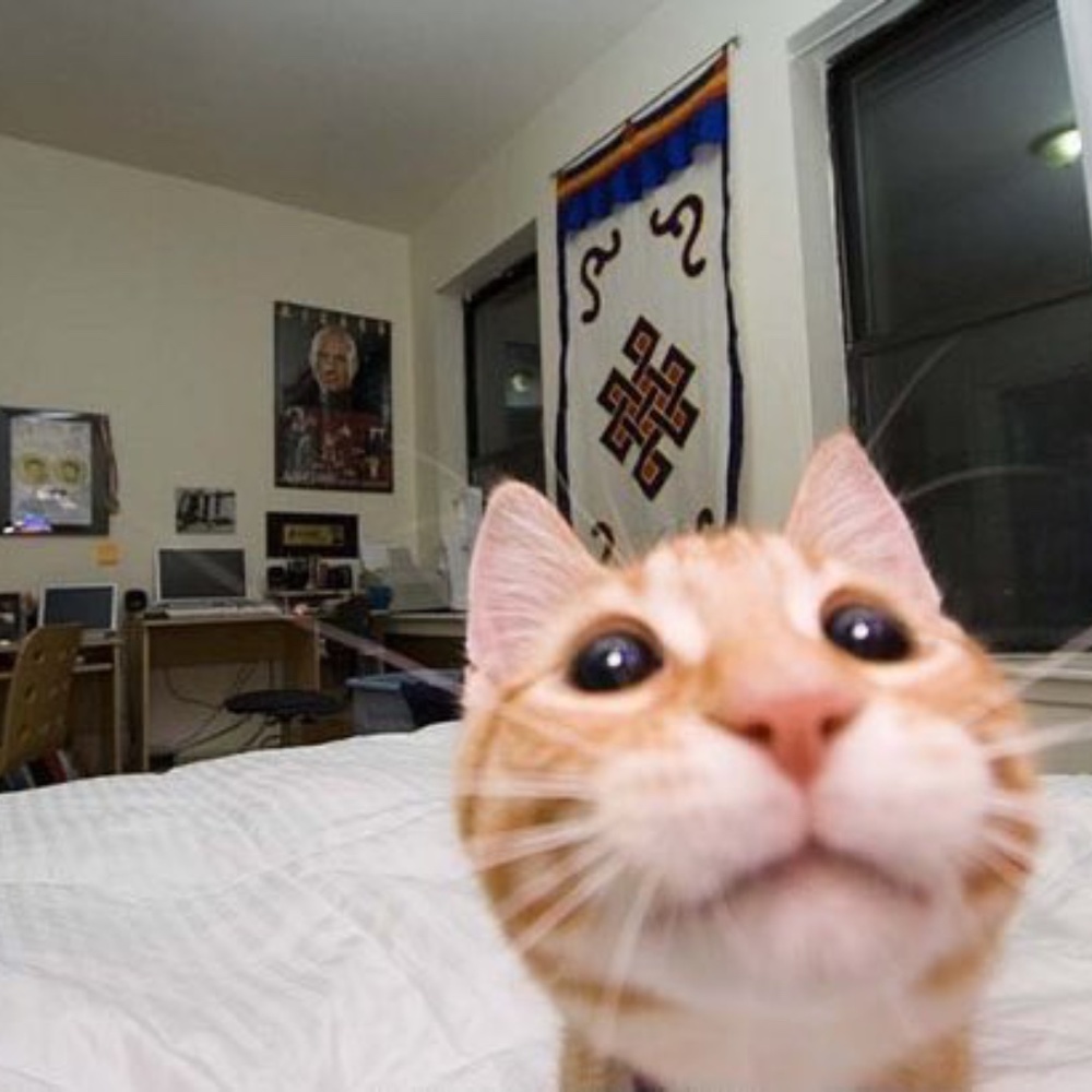 Meet your Posher, Drew